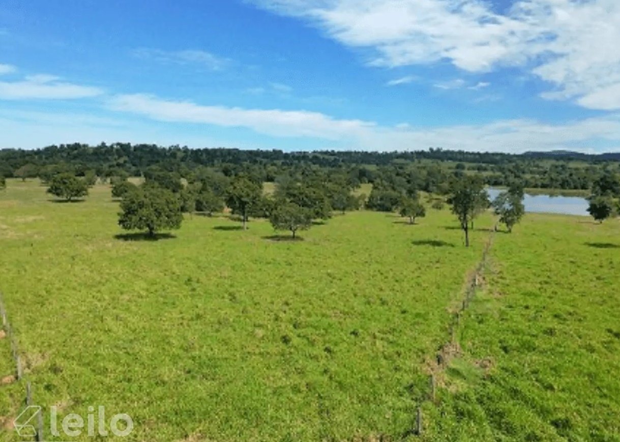 Fazenda Nova GO - Terras de 35,20 hectares